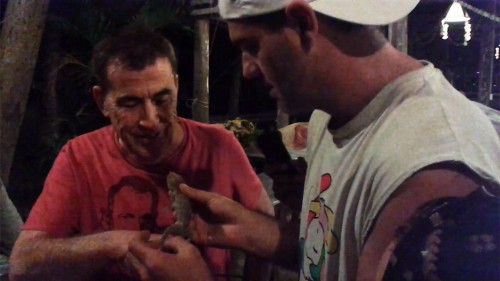 Frank de la Jungla muestra a Dragó un gekko salvaje